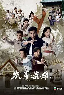 《铁拳英雄粤语》：重温港剧武打经典，拳拳到肉的热血英雄故事！