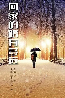 《回家的路有多远》：一部触动心灵的感人寻亲之旅