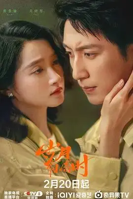 《岁月有情时》：当情感与时光交织，一场关于人生选择与成长的温柔回响