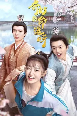奇妙的命运呀 海报